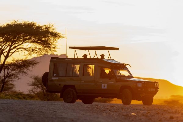 Safari Payment