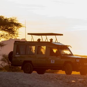 3 DAYS MASAI MARA BUDGET SAFARI 2-3 pax USD $ 1398